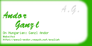 andor ganzl business card
